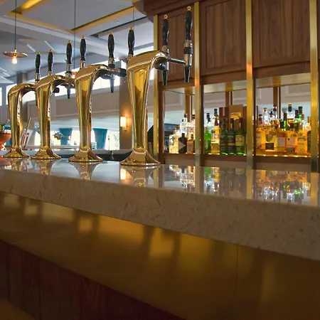 酒店 加利维奥酒店 4*