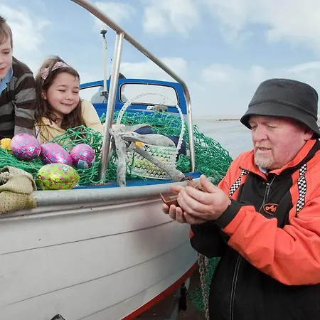加利维奥酒店 酒店