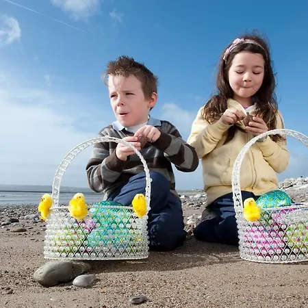 加利维奥酒店 4*